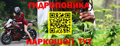 молекула духа Гусь-Хрустальный