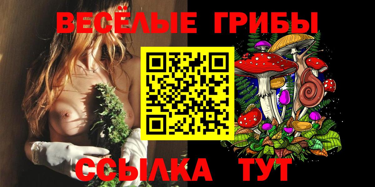 Магнитогорск  Псилоцибиновые грибы мухоморы  Вход с VPN  Псилоцибиновые грибы мицелий 